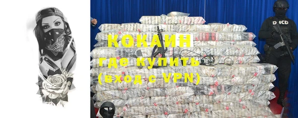 хмурый Абаза