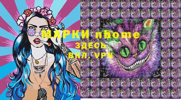хмурый Абаза